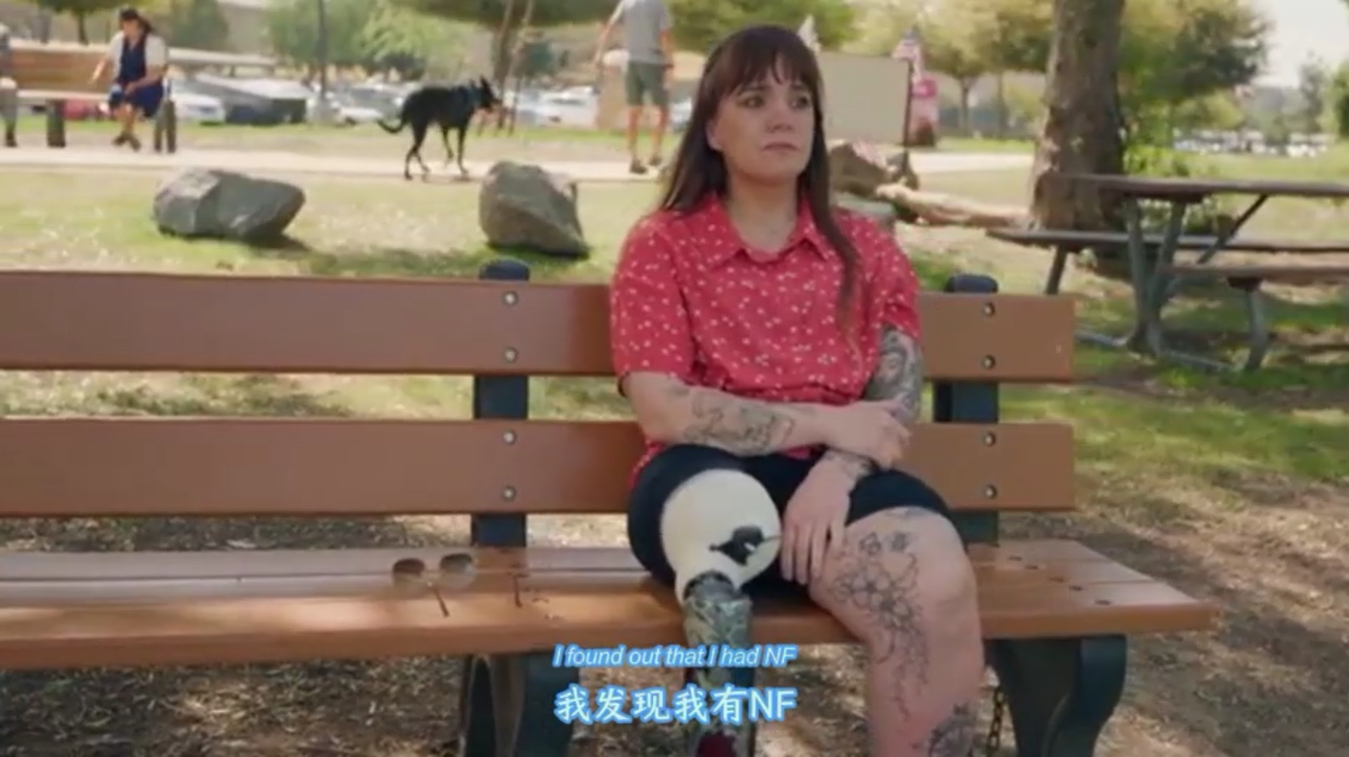 终结与 NF 疾病的斗争