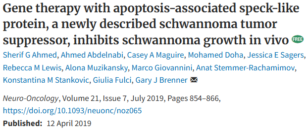 利用凋亡相关斑点样蛋白，进行基因治疗可抑制体内神经鞘瘤的生长