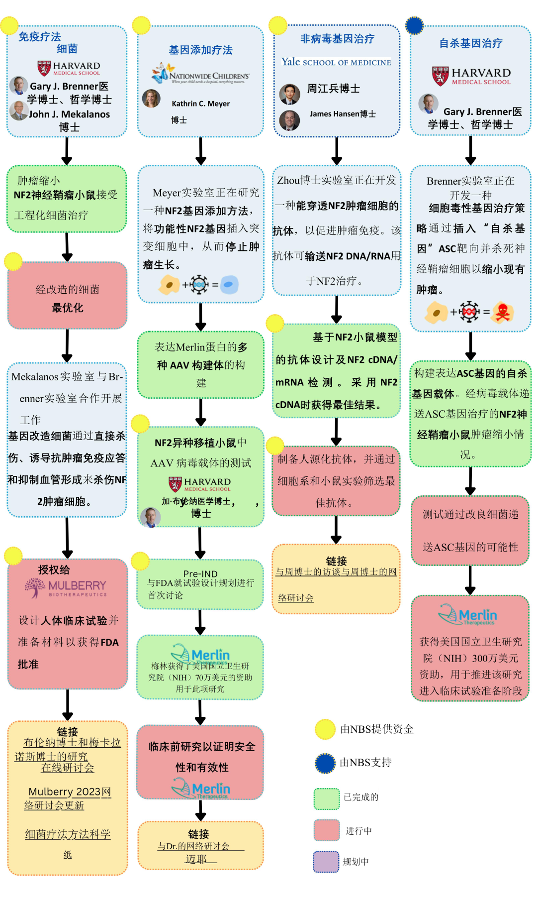 神经纤维瘤病2型的基因治疗和免疫疗法方法