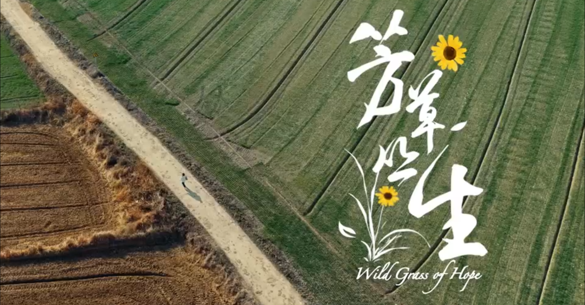 王芳:以平凡之躯，为罕见病群体点亮希望