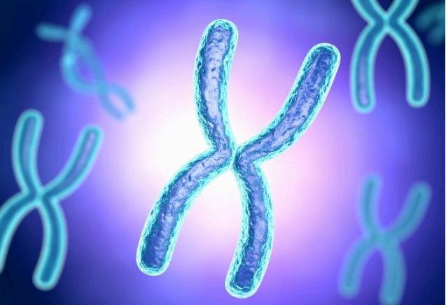 NF2基因疗法：CTF研究推进了一种前景广阔的个性化治疗